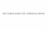 METABOLISMO DE AMINOACIDOS - IIB-INTECH - Instituto de ... · La regulación de la glutamina sintetasa juega un rol crucial en el metabolismo del nitrógeno. Todos los organismos