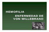 Hemofilia y Von Willebrand 2012ecaths1.s3.amazonaws.com/hematologiaclinicafacena/1257280590... · Modo de Herencia. Hemofilia A severa 14% 8% 15% 4% 17% 42% inversiones grandes deleciones