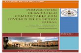 PROYECTO DE DESARROLLO COMUNITARIO CON …uvadoc.uva.es/bitstream/10324/6803/1/TFG-L660.pdf · últimos años en los municipios de la provincia de Segovia. Para ello quiero realizar