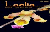 Número 16 Abril Mayo - Junio 2012 - gecor.org · el “Grupo de Estudio y Conservación de Orquídeas” (GECOR). Inscrita en el R.A. de la ... por cuanto este magnífico ejemplar
