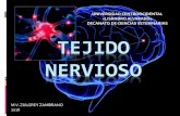 UNIVERSIDAD CENTROOCIDENTAL «LISANDRO … · TEJIDO NERVIOSO GENERALIDADES Origen Embrionario del Neuroectodermo. Tejido avascular . Íntimamente relacionado con el TCG. Constituye
