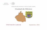 SUBSECRETARÍA DE EMPLEO Y PRODUCTIVIDAD LABORAL ... - Gobierno … distrito... · 1/ La Entidad Federativa Incluye municipios del Estado de Mexico considerados como zona metropolitana.