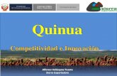 Quinua - ALADI - Asociación Latinoamericana de … · galleta; dulce; fideos; ... Promoción del consumo de la quinua nacional e internacional. Presentación gastronómica de la