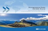Programa País OCDE-Perú - congreso.gob.pe · A pesar de las mejoras en el acceso en salud y educación, la calidad de estos servicios ... reducidos años de escolarización y la