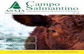 Campo Salmantino - asajacyl.com · productos ﬁ nales como la carne, la leche... lo que implica que la cotización incial no suba. La patata ha tenido un año bueno pero este sector