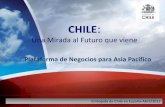 CHILE - exeforum.biz · ... capitales y personas ... Zelandia, Uruguay y España. Embajada de Chile en España ... (Argentina, Brasil, Paraguay y Uruguay), ...