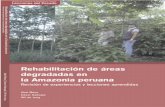 Rehabilitación de Æreas degradadas en la Amazonia … · Nos es muy grato presentar este y los otros cinco informes del estudio con la esperanza de que las lecciones que contienen