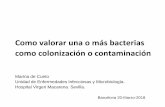 Como valorar una o más bacterias como colonización o ...hws.vhebron.net/envin-helics/Descargas/presentaciones/2018/10... · 3IDSA, SEIMC: 10 UFC/mL . ... :314- 320 . Horan TC 2008
