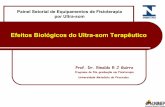Efeitos Biológicos do Ultra-som Terapêutico · Efeitos Biológicos do Ultra-som Terapêutico Painel Setorial de Equipamentos de Fisioterapia por Ultra-som Prof. Dr. Rinaldo R J