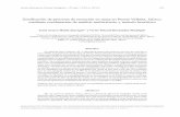 Zonificación de procesos de remoción en masa en …satori.geociencias.unam.mx/29-1/(07)Muniz.pdf · 104 Muñiz-Jauregui y Hernández-Madrigal sector of Puerto Vallarta based on