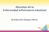 Enfermedad Inflamatoria intestinal Abordaje diagnosticomixacademico.alianzamedicamexicana.com/TDAE/descargables/Modul… · Enfermedad de Crohn (EC) ... • La tasa de incidencia