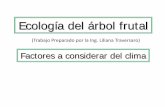 Ecología del árbol frutal - aulavirtual.agro.unlp.edu.araulavirtual.agro.unlp.edu.ar/pluginfile.php/321/course/section/261/... · Cuello, es la parte mas sensible de la parte aérea.
