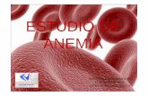 ESTUDIO DE ANEMIA - fesemi.org · Anemias hemolíticas HEMOGLOBINURIA PAROXÍSTICA NOCTURNA: Alteración adquirida de la célula pluripotencial, que aumenta su ...