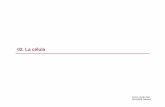 02. La celula - Diariumdiarium.usal.es/vgnunez/files/2012/10/02.-La-celula.pdf · Cromosoma bacteriano ‐DNA circular de doble cadena ... Citoplasma Citosol ó hialoplasma: medio