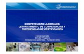 COMPETENCIAS LABORALES: LEVANTAMIENTO … · Ruta crítica del proyecto. Identificación de sectores claves Potencial contribución a la economía del país ... origen y seguimiento