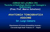 ANATOMIA TOMOGRAFICA ADDOME Dr. Luigi Cameratrmir.stidue.net/Anno2/Anno2Semestre1/Camera/PdfLezioni... · Anatomia • Le vie biliari intra-epatiche convergono dalla periferia del