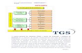 Aplicación práctica de las herramientas conceptuales de …€¦  · Web viewRESUMEN. La . teoría general de sistemas (TGS) o . teoría de sistemas. o . enfoque de sistemas. es