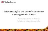 Mecanização do beneficiamento e secagem do Cacao · Tradicional colheita Quebra manual Recepção Cocho de fermentação Pátio de secagem ou barcaça Comercialização Comparativo
