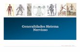 Generalidades Sistema Nervioso - Kinemilo | …"Blog del ... · Generalidades Sistema Prof. Cristián Uribe 2010 Nervioso . Esquema Sistema Nervioso Sistema Nervioso ... SISTEMA CARDIOVASCULAR