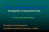 Anatomia Radiológica do Tórax II - fmb.unesp.br€¦ · Anatomia Radiológica do Tórax II ... TC - JANELA PULMONAR. TOMOGRAFIA COMPUTADORIZADA JANELA PULMONAR Cisuras oblíquoas.