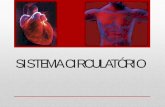 SISTEMA CIRCULATÓRIO - irp-cdn.multiscreensite.com · • A função básica do sistema cardiovascular é a de levar material nutritivo e oxigênio às células. • O sistema circulatório