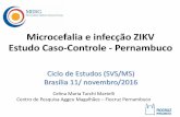 Microcefalia e infecção ZIKV Estudo Caso-Controle - …portalarquivos.saude.gov.br/images/pdf/2016/novembro/14/Caso... · Sequência ZIKV - Brasil • Exantema da fase aguda •