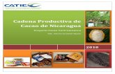 Cadena Productiva de Cacao de Nicaragua - Eco …agronegocios.catie.ac.cr/images/pdf/cadena productiva nicaragua.pdf · levante paulatinamente la producción de calidad y cantidad