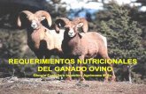REQUERIMIENTOS NUTRICIONALES DEL GANADO … · REQUERIMIENTOS NUTRICIONALES DEL GANADO OVINO ... • Un eficiente manejo de la oveja permitirá que aquella obtenga todos sus nutrientes