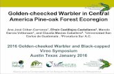 Golden-cheecked Warbler in Central America Pine …biodiversityworks.org/wp-content/uploads/2016/02/Castillejos-Caste... · Golden-cheecked Warbler in Central America Pine-oak Forest