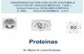 Proteínas - juventud-medica.weebly.comjuventud-medica.weebly.com/uploads/2/1/2/2/21229712/generalidades… · Proteínas Dr. Mynor A. Leiva Enríquez UNIVERSIDAD DE SAN CARLOS DE