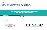 Candidaturas independientes, un derecho político€¦ · Ricardo Martínez Rojas Rustrian D irector de Estudios de Desarrollo Regional ... Las candidaturas independientes pueden