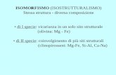ISOMORFISMO (ISOSTRUTTURALISMO) Stessa … pdf/Copia di... · ISOMORFISMO (ISOSTRUTTURALISMO) Stessa struttura - diversa composizione • di I specie: vicarianza in un solo sito strutturale