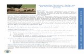 Informações Técnicas – Testes de Pré-Movimentação …coprapec.pt/docs/2013_vf2_TPM_notas_explicativas.pdf · A introdução de bovinos num determinado efectivo é da responsabilidade