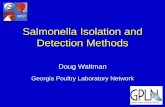 Salmonella Isolation and Detection Methods - USDA … · Salmonella Isolation and Detection Methods Doug Waltman . Georgia Poultry Laboratory Network . NPIP Laboratory Survey 48 labs