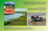 Monografia da BACIA DO RIO PUNGOÉ - elmed … CD/Reports/por/Monograph... · tarefas chave do Projecto Pungoé foi por isso a de produzir uma “monografia”, descrevendo, em detalhe,
