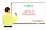 FISICA - files.liceoweb.webnode.itfiles.liceoweb.webnode.it/200000846-659ad66948/cinematica... · La Cinematica bidimensionale Autore: prof. Pappalardo Vincenzo docente di Matematica