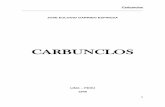 CARBUNCLOS - ugelhuancabamba.gob.peugelhuancabamba.gob.pe/images/stories/Carbunclos.pdf · indolente severidad de piedra, a la iglesia, a la calle, a la escuela, a ... y aúlla el