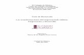 Tesis de Doctorado Las transformaciones del …phronesis.cide.edu/conacytfiles/TCONACYT200470.pdf · El Colegio de México Centro de Estudios Sociológicos Programa Doctorado en Ciencia