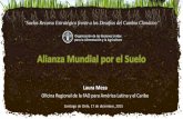 Alianza Mundial por el Suelo - Instituto Interamericano … · Laura Meza Oficina Regional de la FAO para América Latina y el Caribe Alianza Mundial por el Suelo “Suelos Recurso