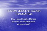 Dra. Irene Ferreiro Marzoa Servicio de Rehabilitación ... · – Nivel sensitivo: 28 dermatomas. Sensibilidad dolorosa y tactil superficial. Puntuación de 0 a 2 – ROTs. NIVEL