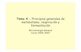 Tema 4.- Principios generales de metabolismo, …pebelsyary.weebly.com/uploads/3/0/7/3/30738139/tema_metabolismo.… · –fotosíntesis – fosforilación oxidativa – fosforilación