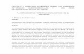 CAPITULO I: ASPECTOS GENERALES SOBRE LAS …ri.ufg.edu.sv/jspui/bitstream/11592/6877/2/657.45-L864m-Capitulo I.pdf · Historia de El Salvador. Estado Denominación que reciben las