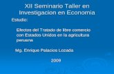 XII Seminario Taller en Investigacion en Economiaeconomia.unmsm.edu.pe/org/arch_iie/st_mat/st_2009_mat/EPalaciosL.… · XII Seminario Taller en Investigacion en ... políticas que