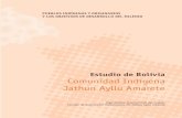 Estudio de Bolivia Comunidad Indígena Jathun Ayllu … · PUEBLOS INDÍGENAS Y ORIGINARIOS Y LOS OBJETIVOS DE DESARROLLO DEL MILENIO Estudio de Bolivia Comunidad Indígena Jathun