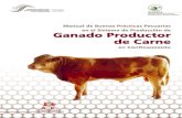 Manual de Buenas Pr⁄cticas Pecuarias - bmeditores.mx · por ejemplo los bebederos, comederos, mezcladoras de alimento y el almacén, son fuentes fácilmente contaminadas por roedores
