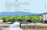 Fertirrigación Nitrogenada en Maíz: Innovando en ... culo-Técnico-2... · PDF 21 Sustentabilidad y Medio Ambiente Fertirrigación Nitrogenada en Maíz: Innovando en Cultivos Tradicionales