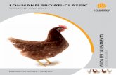 LOhMANN BROWN-CLAssiC - alilohmann.comalilohmann.com/guida.pdf · numero di uova per gallina accasata in 12 mesi di deposizione in 14 mesi di deposizione in 16 mesi di deposizione