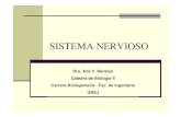 SISTEMA NERVIOSO - dea.unsj.edu.ardea.unsj.edu.ar/biologia2/   SISTEMA NERVIOSO SISTEMA END“CRINO