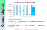 Cromat - Universidade Federal de São João del-Rei · Adaptado de Carol H. Colins – Fundamentos de Cromatografia