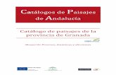 Catálogos de Paisajes de Andalucía - juntadeandalucia.es · Catálogos de Paisajes ... acaecidos y de las tendencias marcadas se compadecen plenamente con las tres formas de intervención